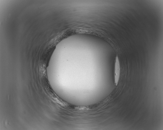 X0000078000621200610271014