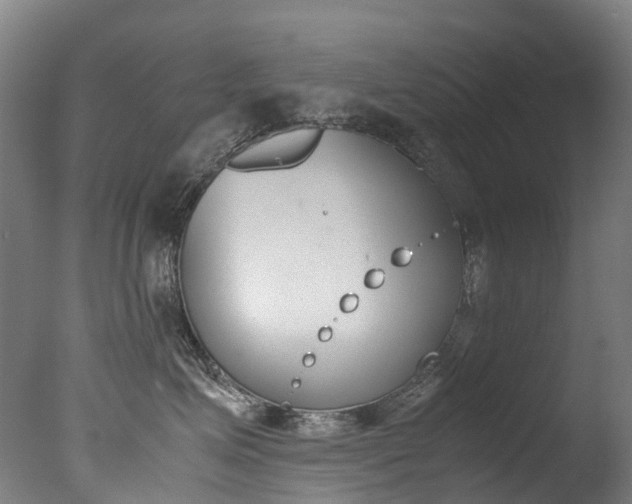 X0000078000623200610271014