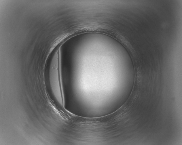 X0000078000626200610271013