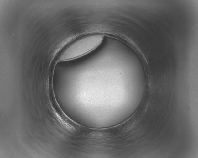 X0000078000629200610271013