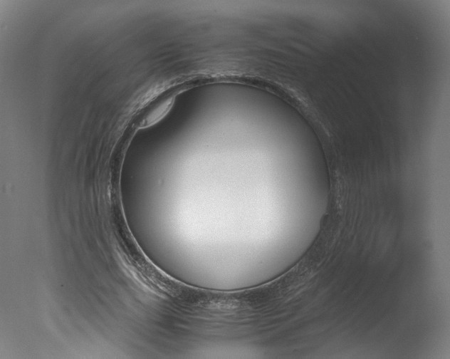 X0000078000631200610271013