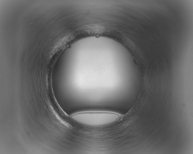 X0000078000638200610271013