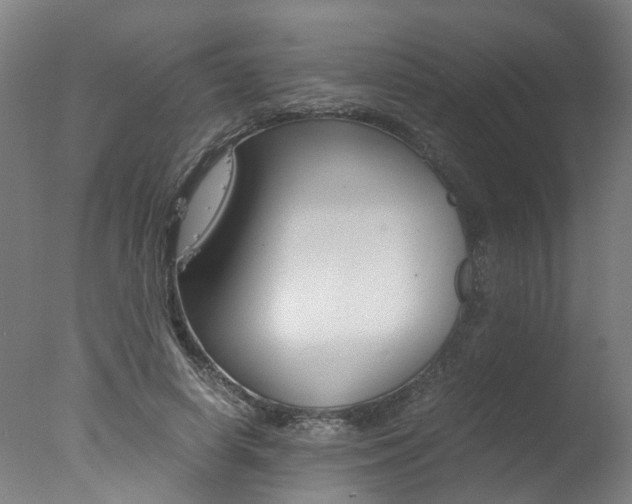 X0000078000642200610271014