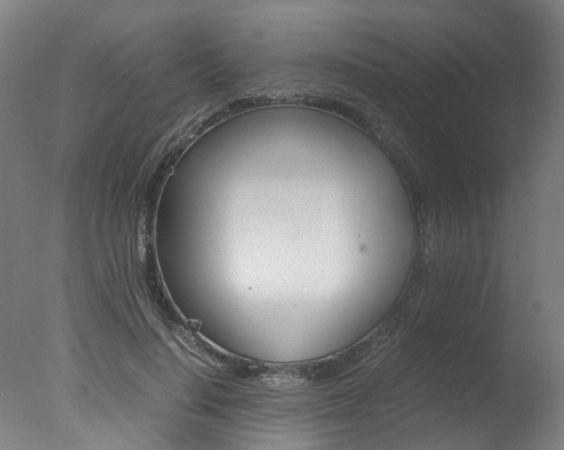 X0000078000644200610271014