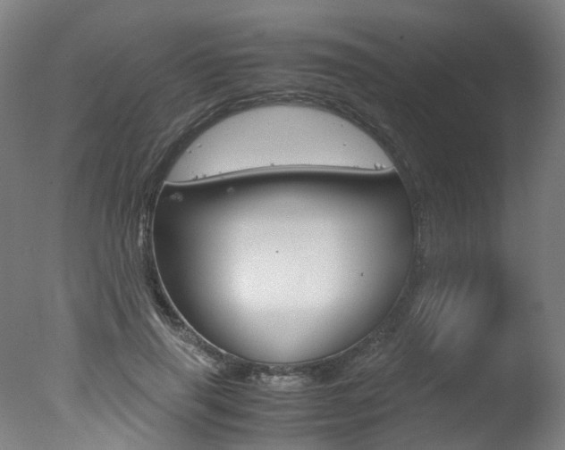 X0000078000645200610271014