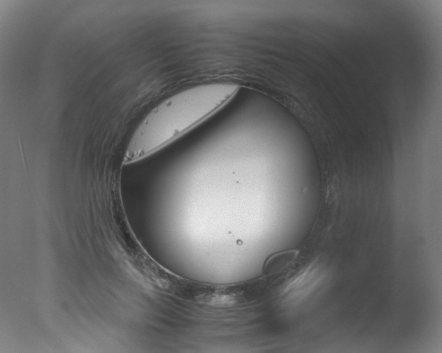 X0000078000647200610271014