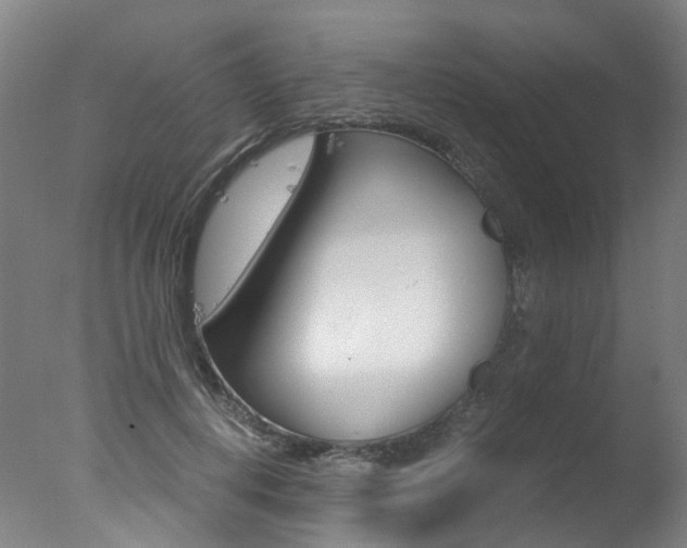 X0000078000648200610271014