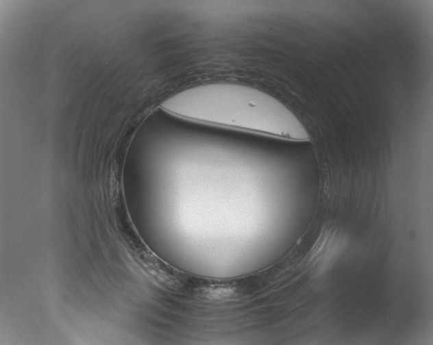 X0000078000651200610271014