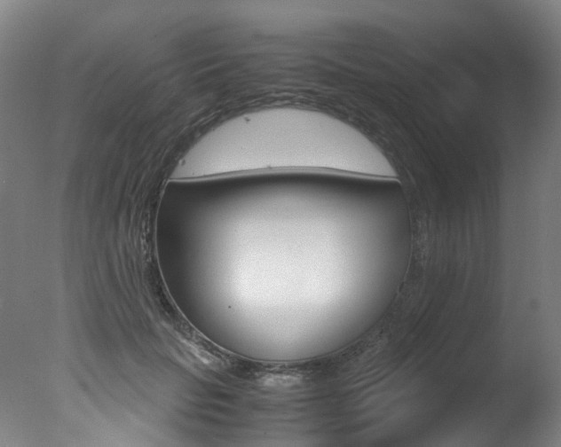 X0000078000653200610271014
