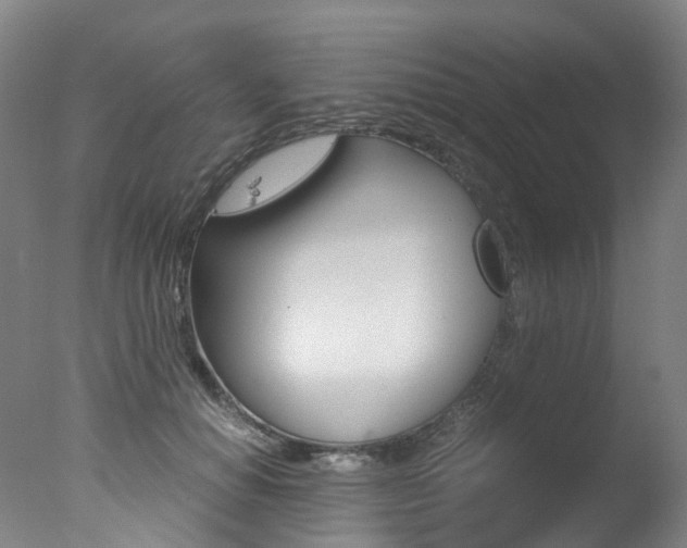 X0000078000654200610271014