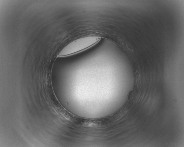 X0000078000655200610271014
