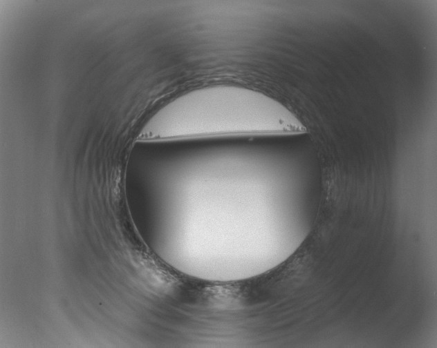 X0000078000660200610271014