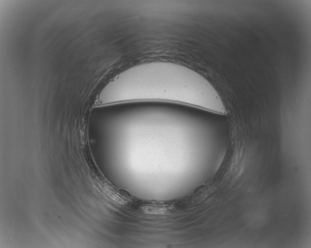 X0000078000661200610271014