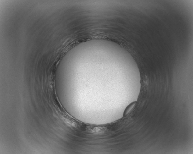 X0000078000663200610271014
