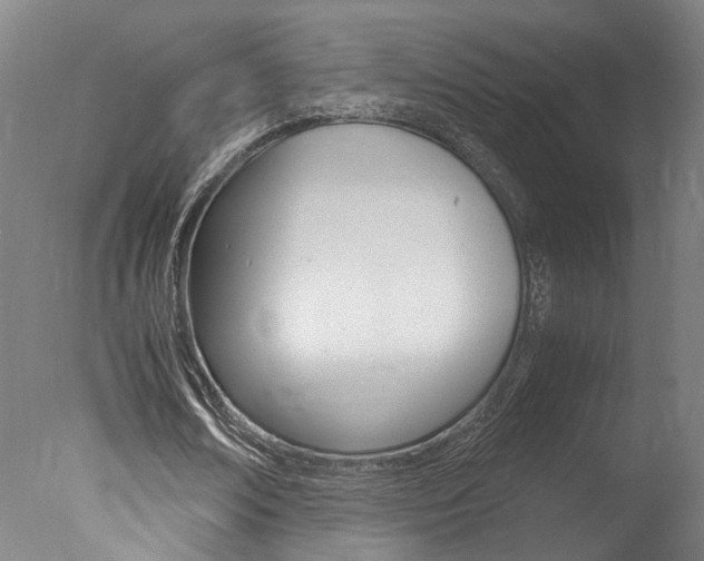 X0000078000674200610271013