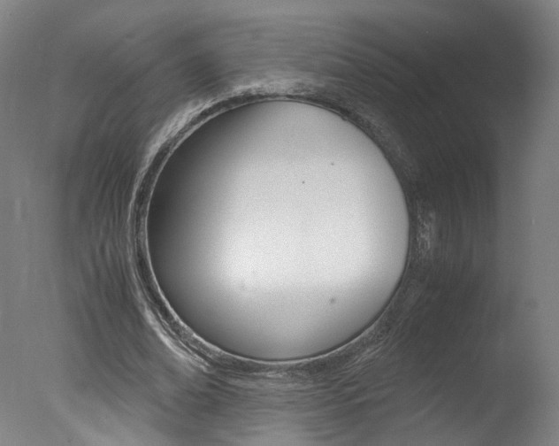 X0000078000678200610271013