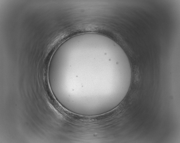 X0000078000683200610271013