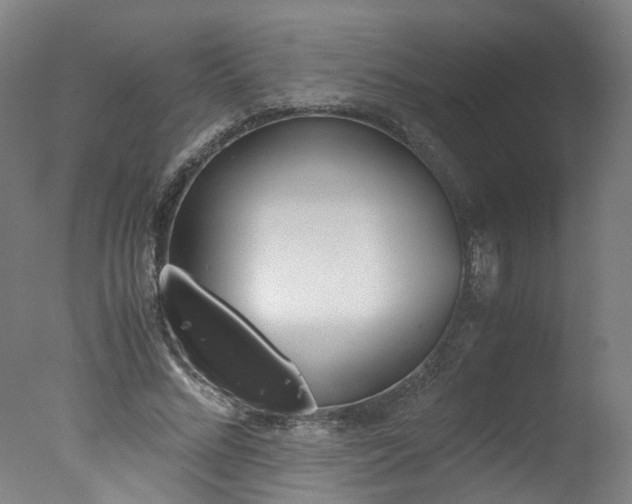 X0000078000684200610271013