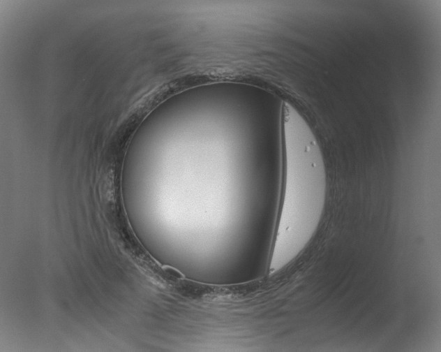 X0000078000689200610271013