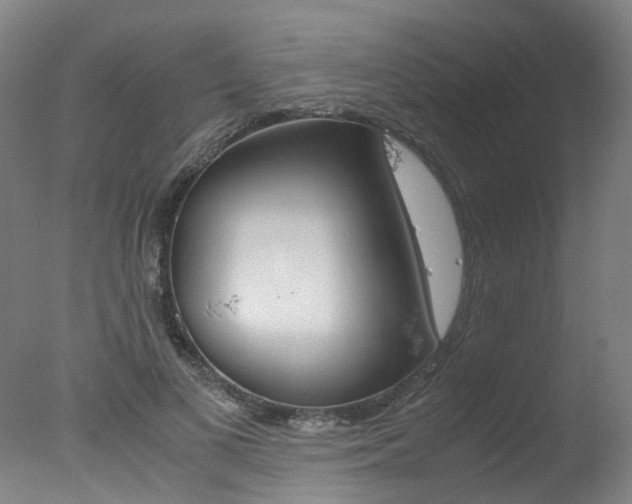 X0000078000693200610271013