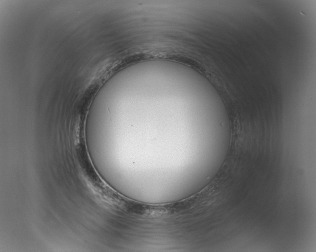 X0000078000694200610271013