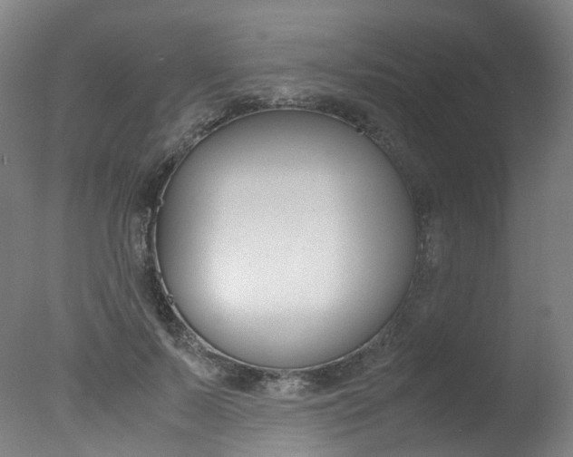 X0000078000695200610271013