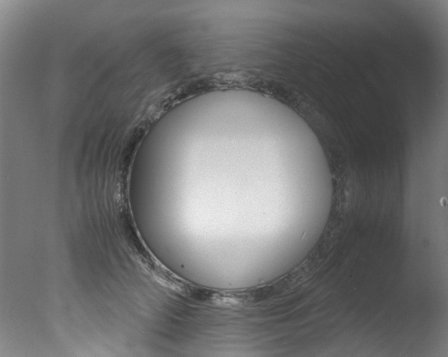 X0000078000706200610271013