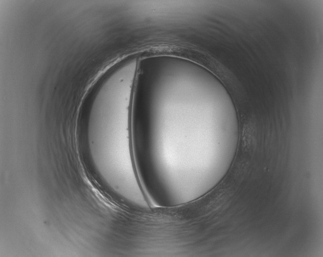 X0000078000722200610271012