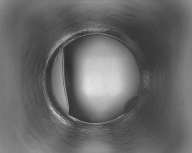 X0000078000726200610271012