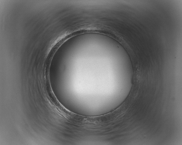 X0000078000727200610271012
