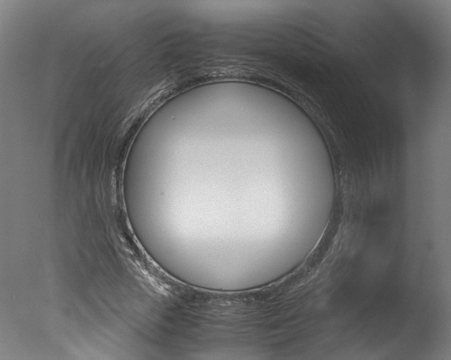 X0000078000729200610271012