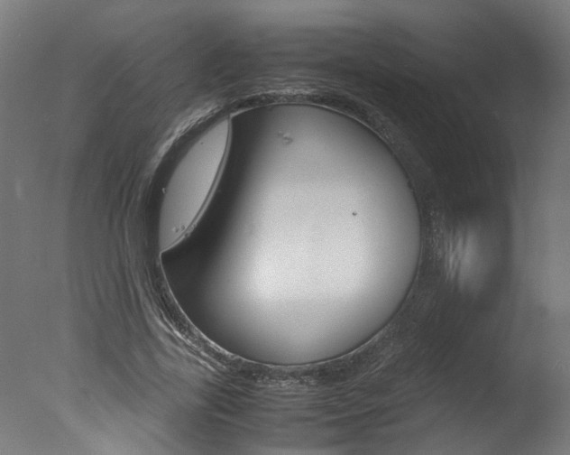 X0000078000731200610271012