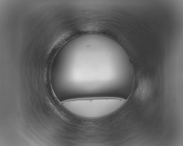 X0000078000735200610271012