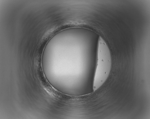 X0000078000736200610271012