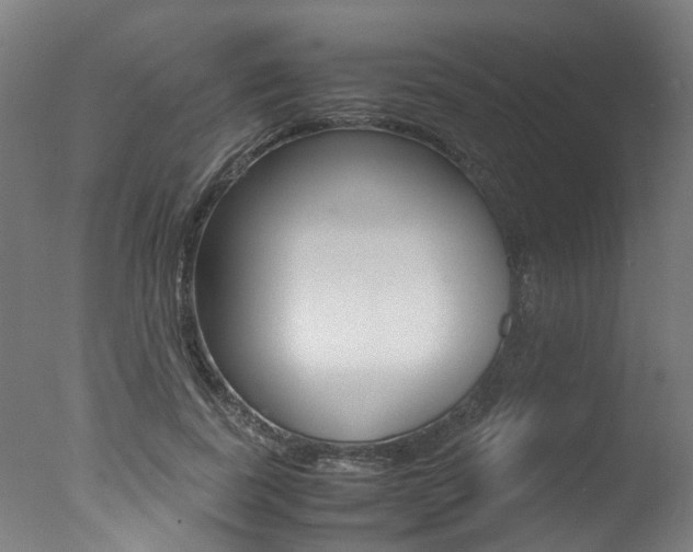 X0000078000739200610271012