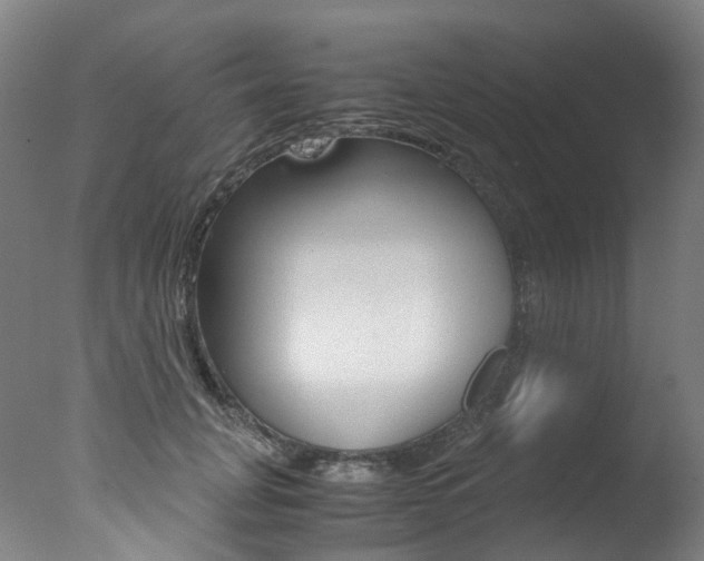 X0000078000751200610271012