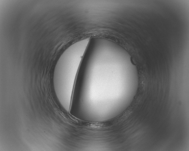 X0000078000758200610271012