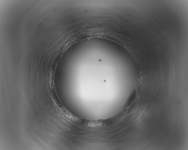 X0000078000767200610271012