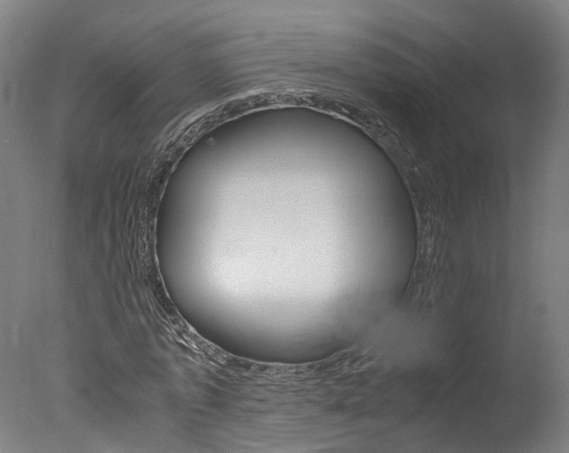 X0000078000773200610271012