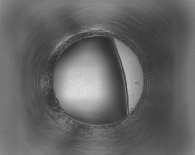 X0000078000776200610271012