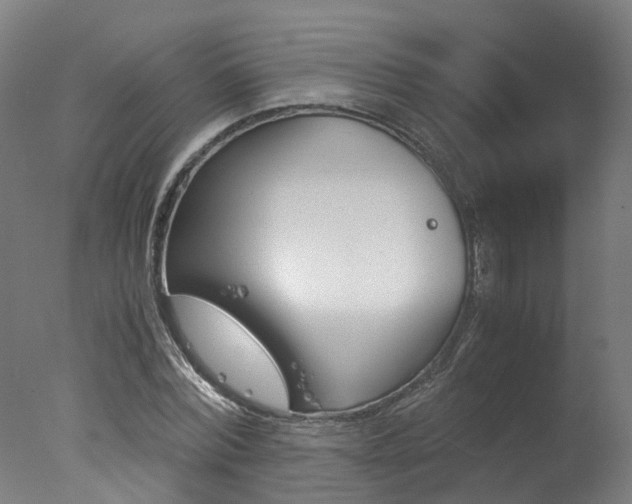 X0000078000780200610271011