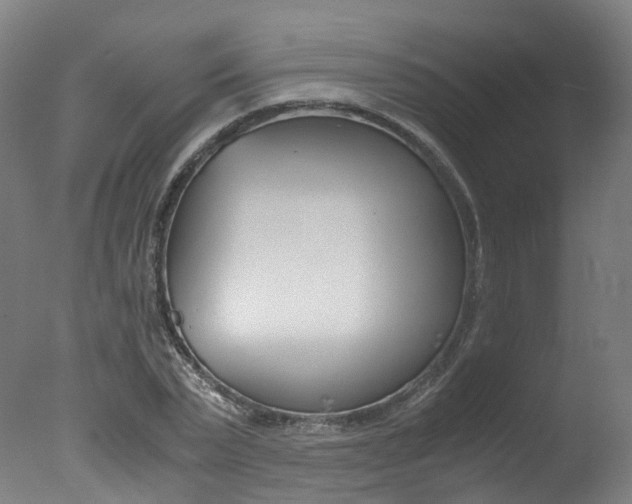 X0000078000783200610271011