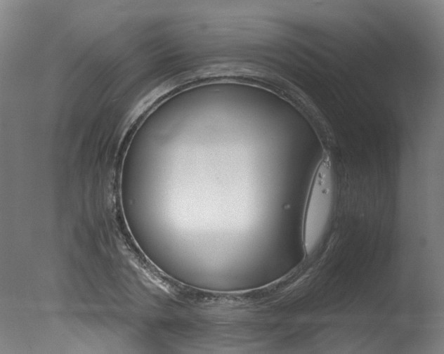 X0000078000786200610271011