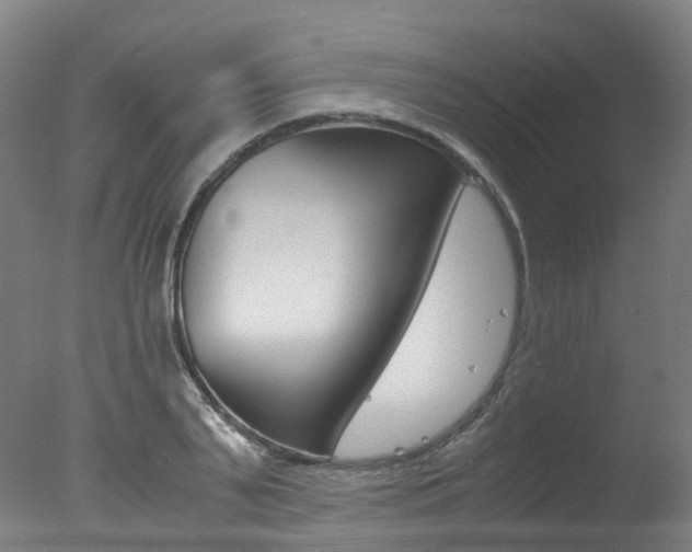 X0000078000791200610271011