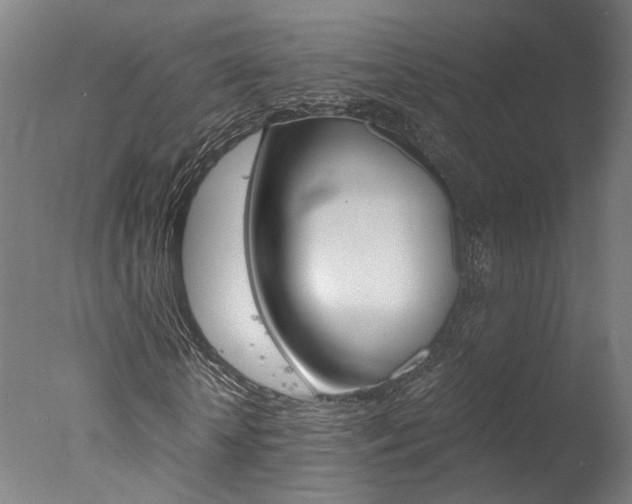 X0000078000818200610271010