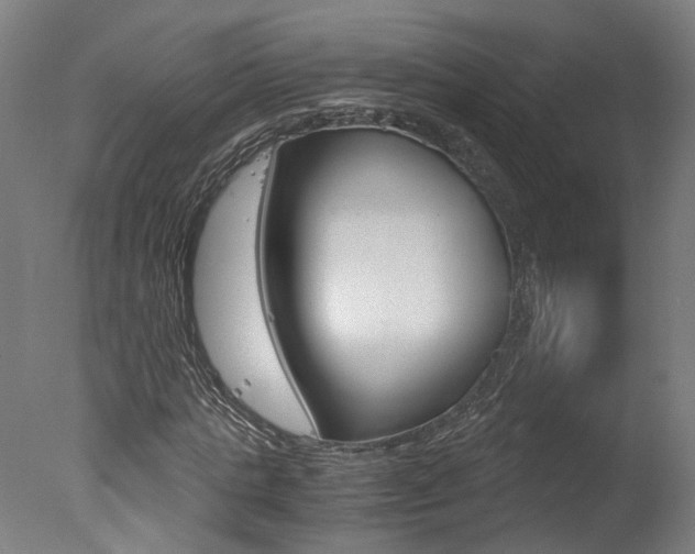 X0000078000821200610271010