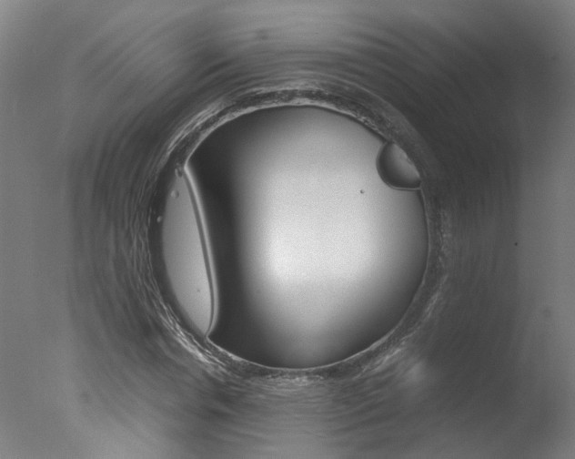 X0000078000826200610271010