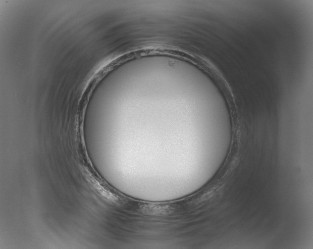 X0000078000831200610271010