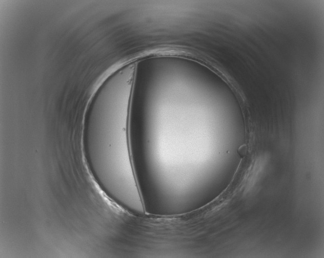 X0000078000853200610271011