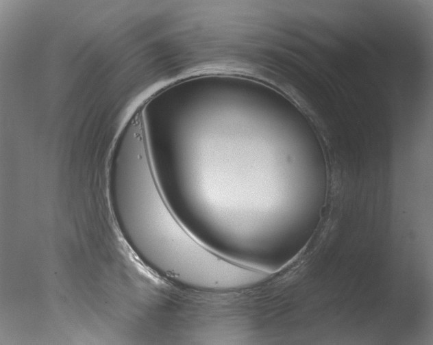 X0000078000854200610271011